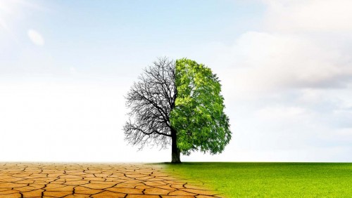 El clima de la Tierra cambiará radicalmente a lo largo del siglo XXI
